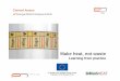 European WS Heat not Waste 130612 neu - e- · PDF fileMake heat, not waste ... biogas issues should be placed in a political focus ... mobile heat accumulators and digestate drying