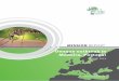 MISSION REPORT - Europaecdc.europa.eu/.../Publications/dengue-madeira-ECDC-mission-2013.pdf · ICPC-2 International Classification of Primary Care 2 ... MISSION REPORT Dengue outbreak