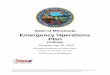 State of Minnesota Emergency Operations Plan - … Emergency...Public Works and Engineering Annex H: Fire Protection ESF #4 ... Energy Annex I: Evacuation, Traffic ... (REP) responsibilities