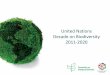 United Nations Decade on Biodiversity 2011-2020 - CBD · PDF file · 2011-03-01of the Strategic Plan for ... –marketing companies ... •To mark the adoption of the UN Decade on