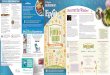 Check out Disney’s official map and brochure for ... - Go  To get to Disney’s Hollywood Studios ... (0%&