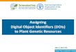 Assigning Digital Object Identifiers (DOIs) to Plant Genetic Resources