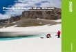 Footprints in the snow -  gifter/Dokumenter... · PDF filedoor adventurers1 for their advertising. Yet ... Greenpeace tests outdoor clothes for perfluoriant- 