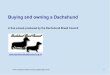Buying and owning a Dachshund - The Dachshund Breed · PDF fileBuying and owning a Dachshund ... 44 Where to find out more ... Do I have the time to exercise a Dachshund every day?