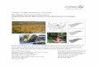 Climate Change Adaptation Case Study - · PDF fileClimate Change Adaptation Case Study ... trees), so restoring both ... The specific species involved in the “maple-ization” effect