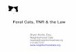 Feral Cats, TNR & the Law - Law Kortis.pdf · PDF fileStatus of “fer al” cats Because most states do not distinguish between “feral” and “non-feral” : • Feral cats are