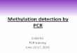 Methylation detection by PCR - osski.hu detection b… · Methylation Specific PCR •In general, Methylation Specific PCR (MSP) and its related protocols are considered to be the