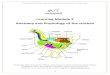 Learning Module 2 Anatomy and Physiology of the chickensapoultry.co.za/pdf-training/anatomy-physiology-of-chicken.pdf · Learning Module 2 Anatomy and Physiology of the chicken 