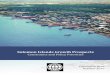 Solomon Islands Growth Prospects - World Banksiteresources.worldbank.org/INTPACIFICISLANDS/Resources/Sourcesof... · Solomon Islands Growth Prospects ... integration of the Solomon