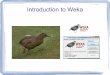 Introduction to Weka · PDF fileWhat is Weka? Weka is a collection of machine learning algorithms for data mining tasks. The algorithms can either be applied directly to a