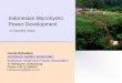 Indonesian Microhydro Power Developmentenergy-indonesia.com/03dge/0141223shousuiryoku.pdf · Indonesian Microhydro Power Development A Success Story ... •Small hydro power has been