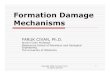 Formation Damage Mechanisms - · PDF fileCommon Formation Damage Mechanisms (Bennion, ... (emulsion generation, etc.) 2. Rock-fluid incompatibility (clay swelling, etc.) 3. Fines invasion