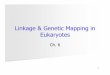 Linkage & Genetic Mapping in Eukaryotescmalone/pdf360/Ch06-1chi 2pt.pdf · Linkage & Genetic Mapping in Eukaryotes Ch. 6. 2!In eukaryotic species, each linear chromosome contains
