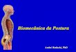 Biomecânica da Postura - profedf.ufpr.br 2010.pdfimportantes no controle da escoliose. - lados concavo e convexo. Causas da escoliose. hereditárias. deterioração das vertebras,