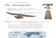 Skills Development 6 · Web viewThe Peregrine Falcon Probably the fastest creature in the world Skills Focus – summarizing; paraphrasing Language Focus – active and passive; present