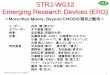 STRJ-WG12 Emerging Research Devices (ERD)semicon.jeita.or.jp/STRJ/STRJ/2010/08_ERD.pdfSTRJ-WG12 Emerging Research Devices (ERD) 1 リーダー： 内田建（東工大） サブリーダー