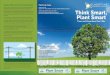 Find out more GLADSTONE Think Smart, Plant Smart Smart... · Think Smart, Plant Smart Trees and Powerlines Don’t Mix Always Plant Smart near powerlines Ergon Energy maintains an