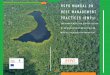 RSPO MANUAL ON BEST MANAGEMENT PRACTICES ( · PDF filerspo manual on best management practices (bmps) for management and rehabilitation of natural vegetation associated with oil palm