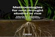 Methodologies - IRRI - Booksbooks.irri.org/9789712202902_content.pdfMethodologies for root drought studies in rice