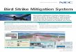Bird Strike Mitigation System - NECsg.nec.com/.../PublicSafety/B3_4BirdStrikeMitigationSystem.pdf · Bird DB Bird Strike Mitigation System detects and monitors birds near airports