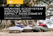 WEAVING ECOSYSTEM SERVICES INTO IMPACT ASSESSMENT · PDF weaving ecosystem services into impact assessment a step-by-step method | version 1.0 florence landsberg, jo treweek, m. mercedes