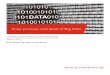 Three promises and perils of Big Data - Bain & · PDF fileThree promises and perils of Big Data ... erally easier to work with data that has some history than it is to attack brand-new