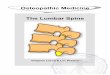 Osteopathic Medicine The Lumbar Spine - Overzicht e …osteopedia.iao.be/uploads/lwk_en_demo.pdf · 8 2. Biomechanics (Benzel 2001, Carlson 2003, Fryette 1942, 1988, Gray 1995, 2000,