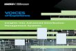 Voices of Experience | Advanced Distribution Management ... of Experience... · Insights into Advanced Distribution Management Systems VOICES of Experience February, 2015 Voices of