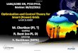Optimization and Control Theory for Smart (Power) …public.lanl.gov/rbent/SmarterGrids/OurPresentations/LDRD_Review_08...Optimization and Control Theory for Smart (Power) Grids. 