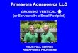 GROWING VERTICAL (or Service with a Small Footprint) Aquaponics LLC GROWING VERTICAL (or Service with a Small Footprint) YOUR FULL-SERVICE . AQUAPONICS PROVIDERS