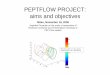 PEPTFLOW PROJECT: aims and objectives - Rapra - Milan - Nov 08_Panarotto.pdfPEPTFLOW PROJECT: aims and objectives Milan, ... Validation of Machine Design Criteria within PEPT-Flow