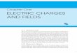 Chapter One ELECTRIC CHARGES AND FIELDS - …assets.openstudy.com/updates/...anthonystark-1391624372167-leph10… · Chapter One ELECTRIC CHARGES AND FIELDS ... Electric Charges and