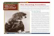 Section Preview The Roaring Twenties · PDF filetion of the “Light Cavalry Overture