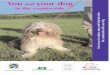 You and your dog in the countryside - Forestry Commission · PDF fileyour dog in the countryside, and help protect the landscape, ... cars and unpredictable events outside could frighten