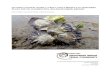 OLYMPIA OYSTER, OSTREA LURIDA, PILOT … OYSTER, OSTREA LURIDA, PILOT PROJECT IN NORTHERN PUGET SOUND, WASHINGTON: 2014 MONITORING REPORT ... biological parameter datasets that will