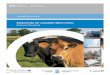 National Standard - Biosecurity for Canadian Dairy ... - … Standards...Biosecurity for Canadian Dairy Farms: National Standard provides the foundation for achieving consistent industry-wide