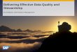 Delivering Effective Data Quality and Stewardship - SAPfm.sap.com/data/UPLOAD/files/Delivering Effective Data Quality and... · Delivering Effective Data Quality and ... Minacs’