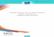 EXPORT AND EXIT OUT OF THE EUROPEAN UNION Title VIII UCC ... · PDF fileEXPORT AND EXIT OUT OF THE EUROPEAN UNION – Title VIII UCC/ "guidance for MSs ... The content of this document