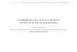 COMMERCIAL INNOVATION: A POLICY  · PDF fileCOMMERCIAL INNOVATION: A POLICY STOCKTAKING ... including an industrial innovation merchant bank. It emphasized that the objective
