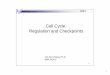 Cell cycle and senescence 30311 - · PDF filePost-translational modification Transcriptional regulation ... post translational modification ... sends out a negative signal to the cell-cycle