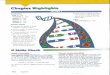 goldeno.wikispaces.com6+Highlights+&+EOC... · (amino acids or nucleotides) 2. A disorder, such as cystic fibrosis, is if the child must receive ... concept map: bases, adenine, thymine,