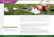 Pruning Ornamental Trees and Shrubs · PDF fileHO-4-W. CONSUMER HORTICULTURE. Pruning Ornamental Trees and Shrubs. Rosie Lerner & Kyle Daniel, Department of Horticulture and Landscape