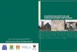 plantation architecture and landscape in derry and donegal · PDF fileindividual London livery companies. In Donegal, the Plantation was implemented by individual Undertakers. Different