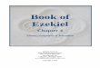 Book of Ezekiel - Bible Study Resource Center - Homebiblestudyresourcecenter.com/.../Ezekiel_04.22154951.pdf1 Theme: Judgment of Jerusalem McGee Introduction: In chapters 4 and 5 Ezekiel