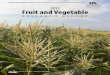 PR-656 2012 Fruit and Vegetable - College of . Teferi Tsegaye Faculty ... Shelby Fruit and vegetable research sites in 2012. ... The 2012 Fruit and Vegetable crops research report