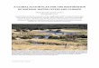 A GLOBAL ACTION PLAN FOR THE RESTORATION OF NATURAL WATER ... · PDF fileA GLOBAL ACTION PLAN FOR THE RESTORATION OF NATURAL WATER CYCLES AND CLIMATE ... and water vapor for the air