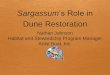 Sargassum’s Role in Dune Restoration - seas-forecast.comseas-forecast.com/symppowerpoint/session4/4 Nate/nathanjohnson.pdf · Sargassum potentially could play a huge role in dune