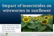 Impact of insecticides on wireworms in sunflower · PDF file ® © 2015 South Dakota Board of Regents Impact of insecticides on wireworms in sunflower Adam Varenhorst, SDSU Brady Hauswedell,