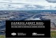 CARBON ASSET RISK - Finance · PDF fileThe implications for fossil fuel commodity prices are crucial in any valuation scenario ... The dialogue around carbon asset risk has grown over