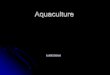 Aquaculture - agrobiologiekzr.agrobiologie.cz/natural/english/data/aquaculture-overview08.pdf · P.vannemi, P. stylorostris ... Giant freshwater prawn. Finfish Production 23 mil